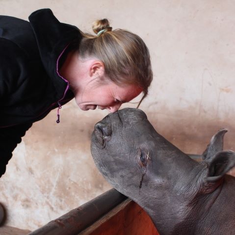 Photo from the Food for Rhinos sanctuary